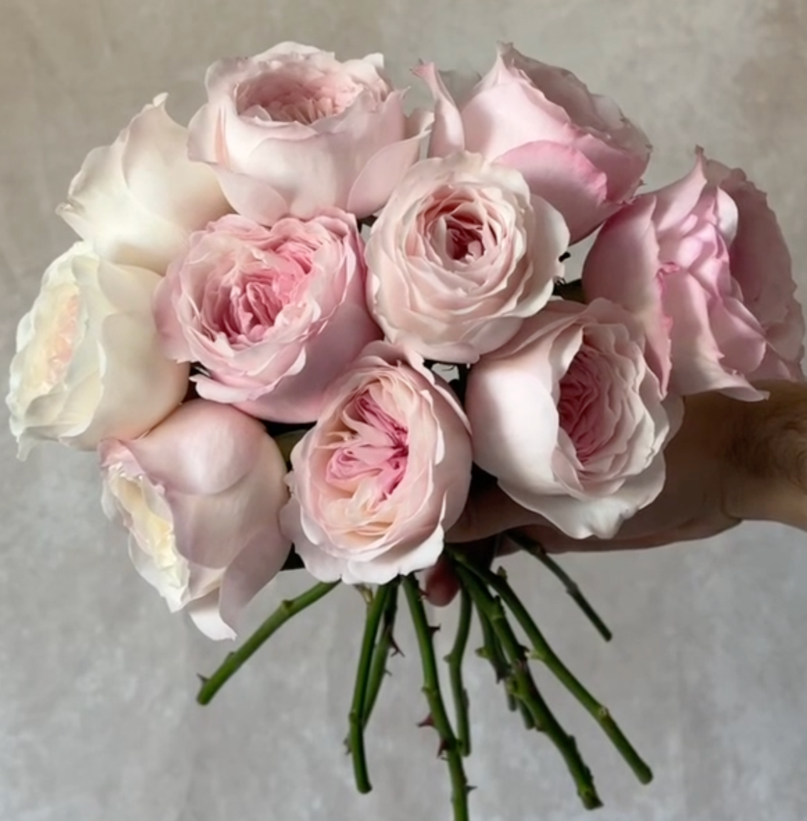 The Hermès of Roses: David Austin Roses