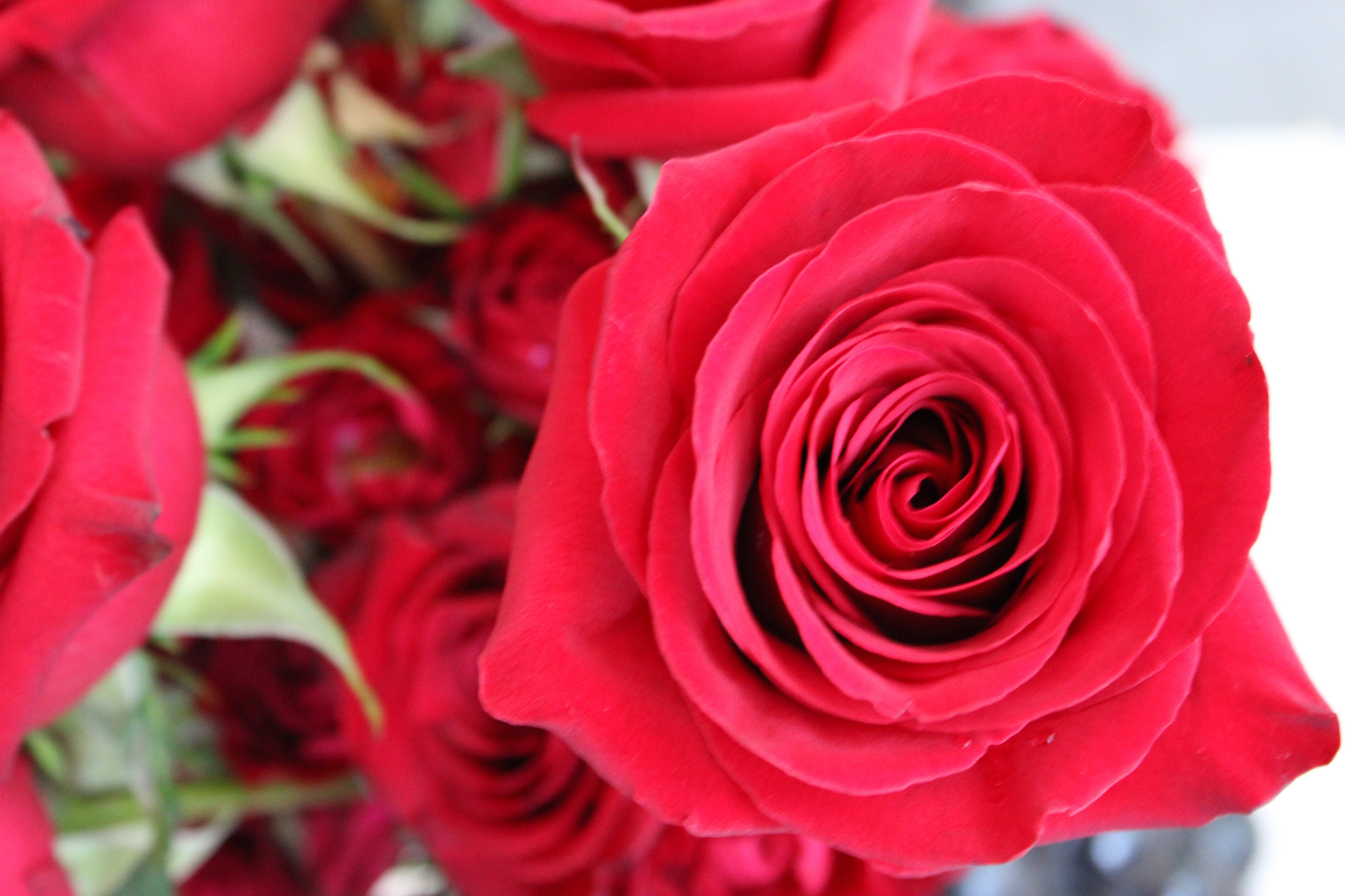 Rouge Allure