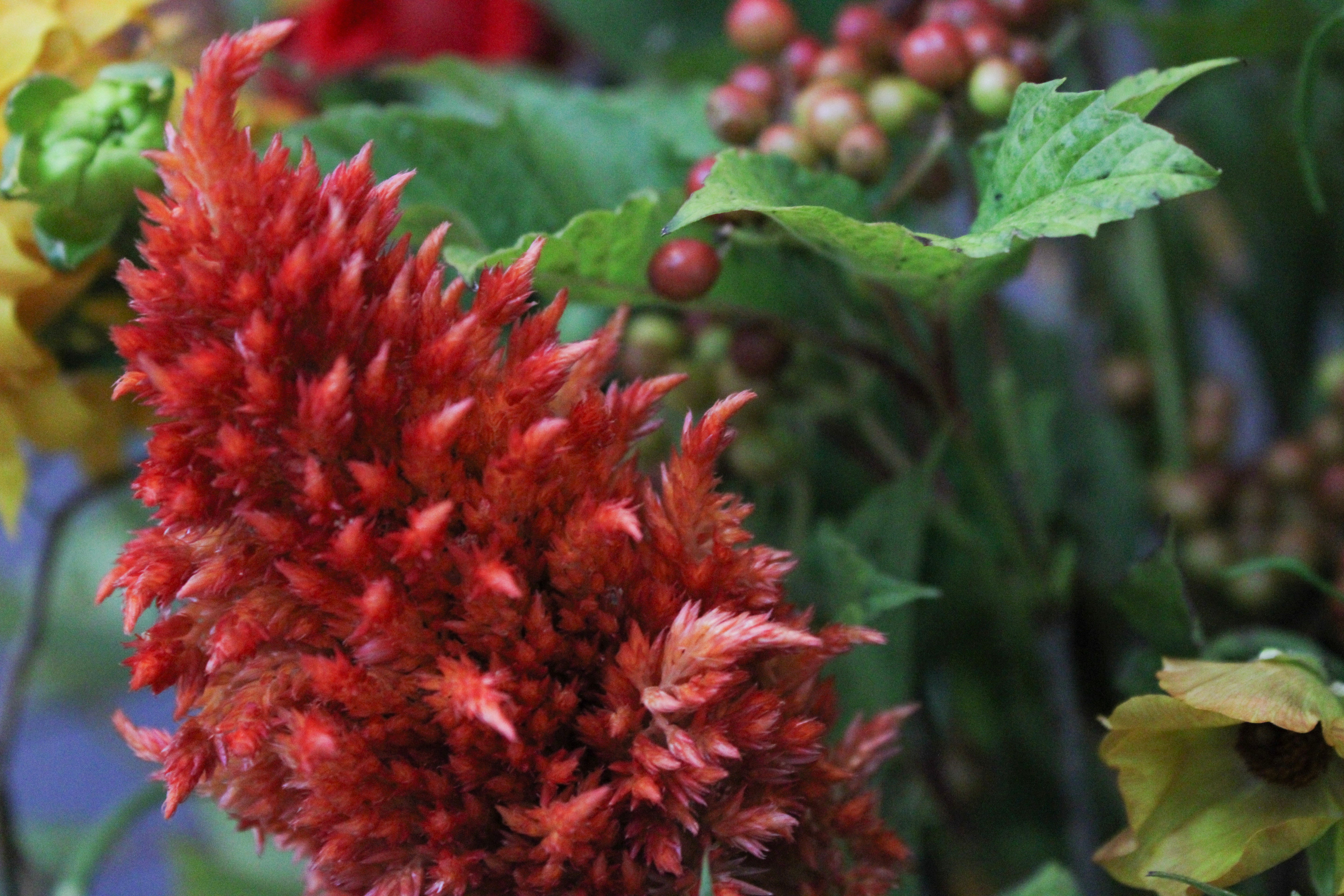 Fall Inspired Floral Arrangements