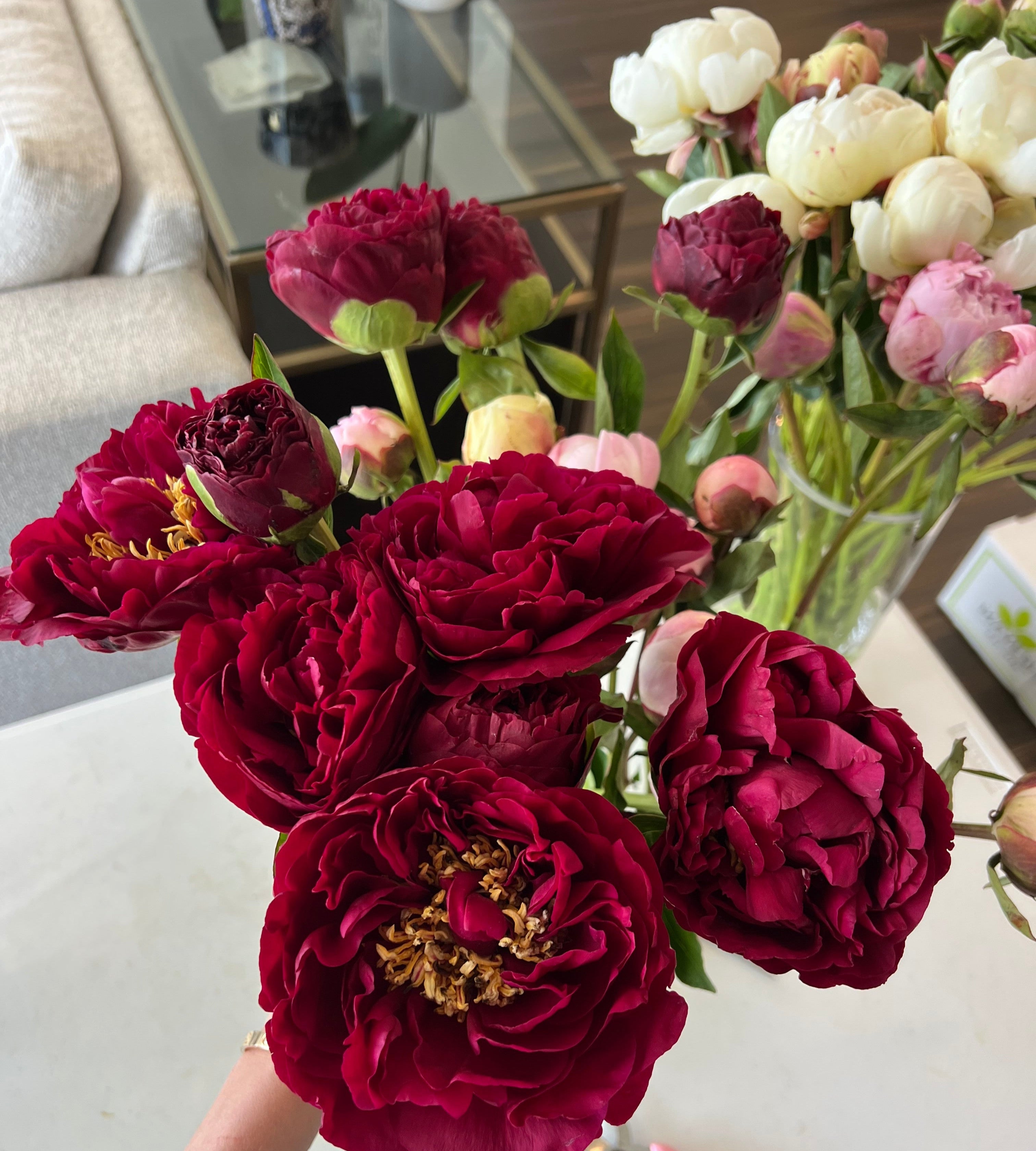*The Peony Edit