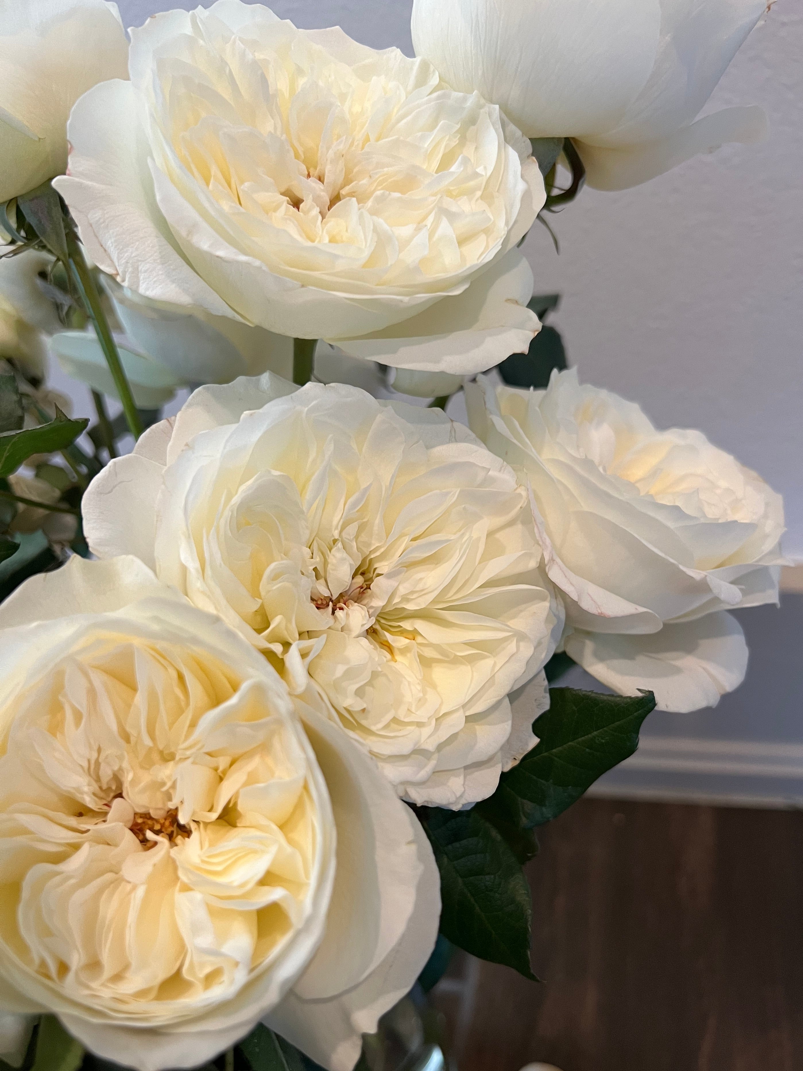 The Hermès of Roses: David Austin Roses